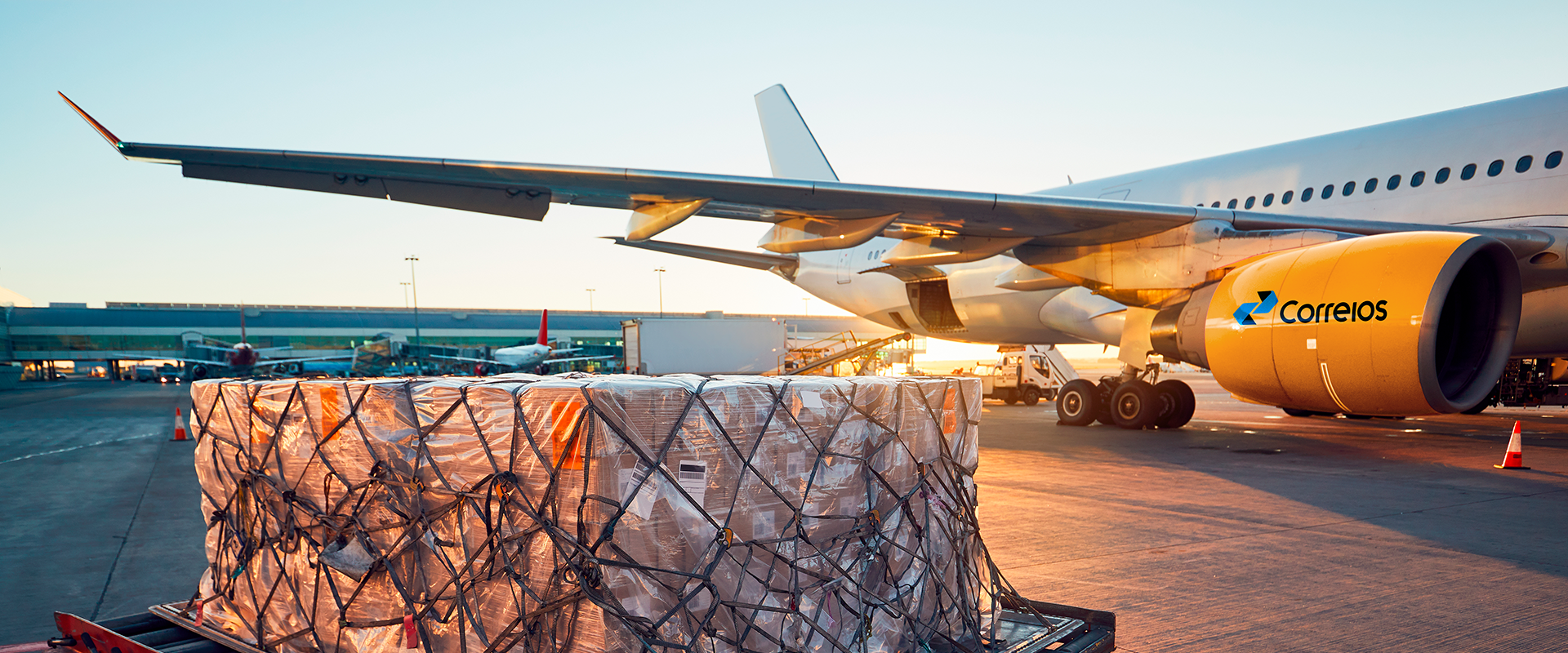 Pacotes sendo carregado em um avião com a marca dos correios